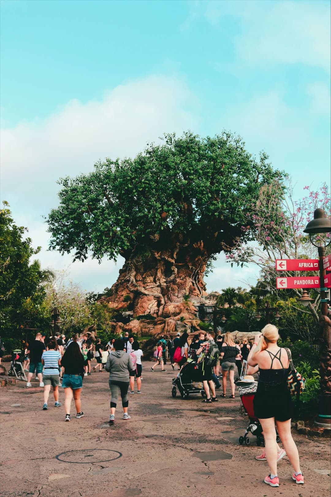 The Tree of Life at Animal Kingdom