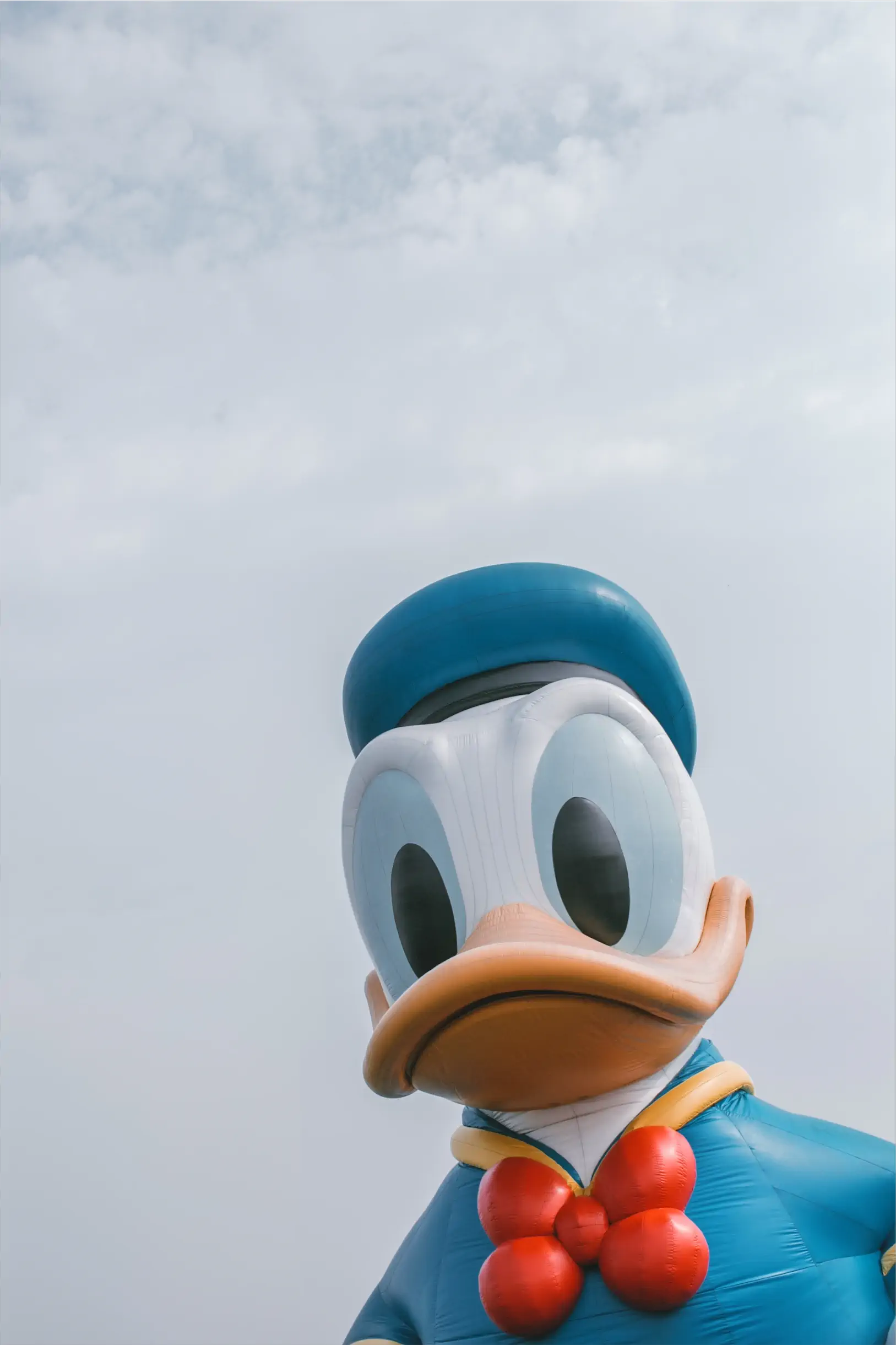 A photo of Donald Duck